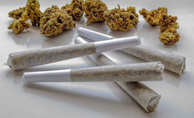 weed pre rolls