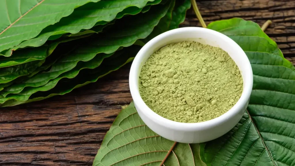 Finding Kratom Strains That Support Better Energy Throughout The Day
